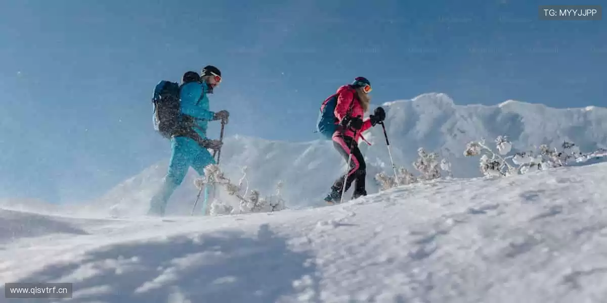 ⚽ 热血赛事,激情一触即发!